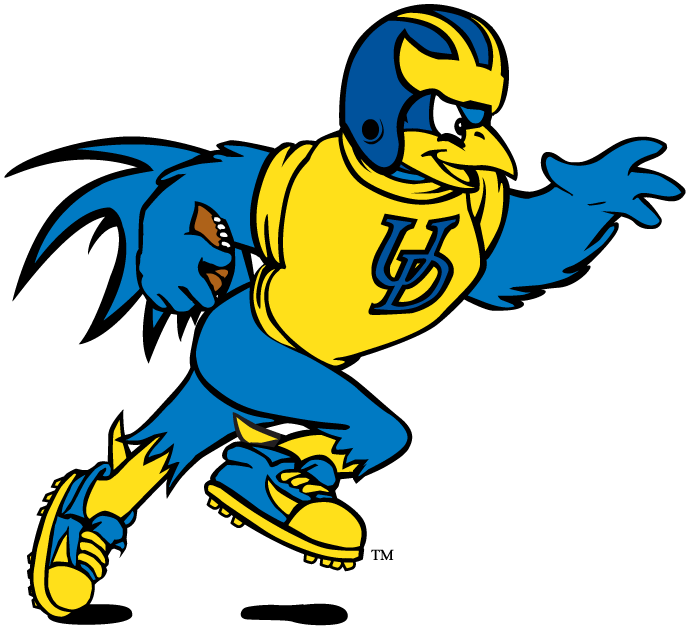 Delaware Blue Hens 1993-Pres Mascot Logo v9 iron on transfers for fabric